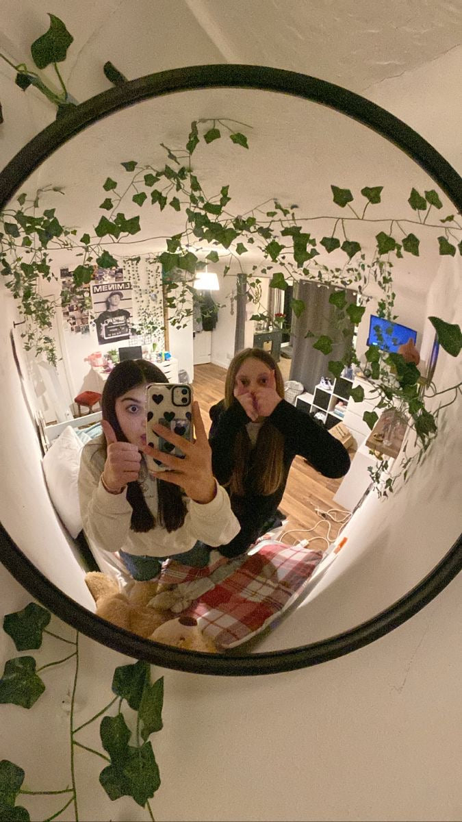 Aesthetic indoor bedroom convex mirror